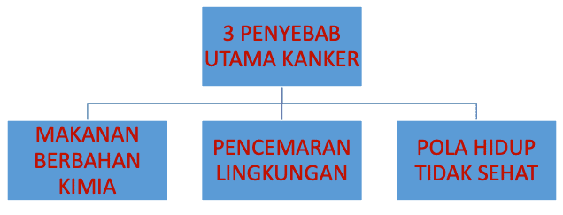 penyebab kanker